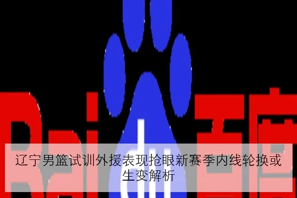 辽宁男篮试训外援表现抢眼新赛季内线轮换或生变解析